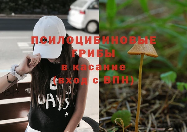 mdpv Баксан