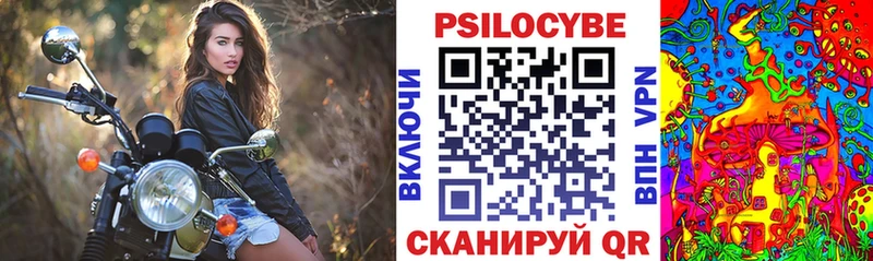 Галлюциногенные грибы Psilocybine cubensis  даркнет сайт  Красный Кут 